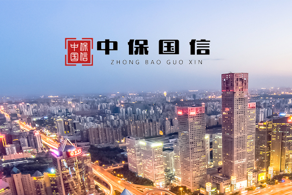 北京中保國(guó)信融資擔(dān)保有限公司網(wǎng)站改版 