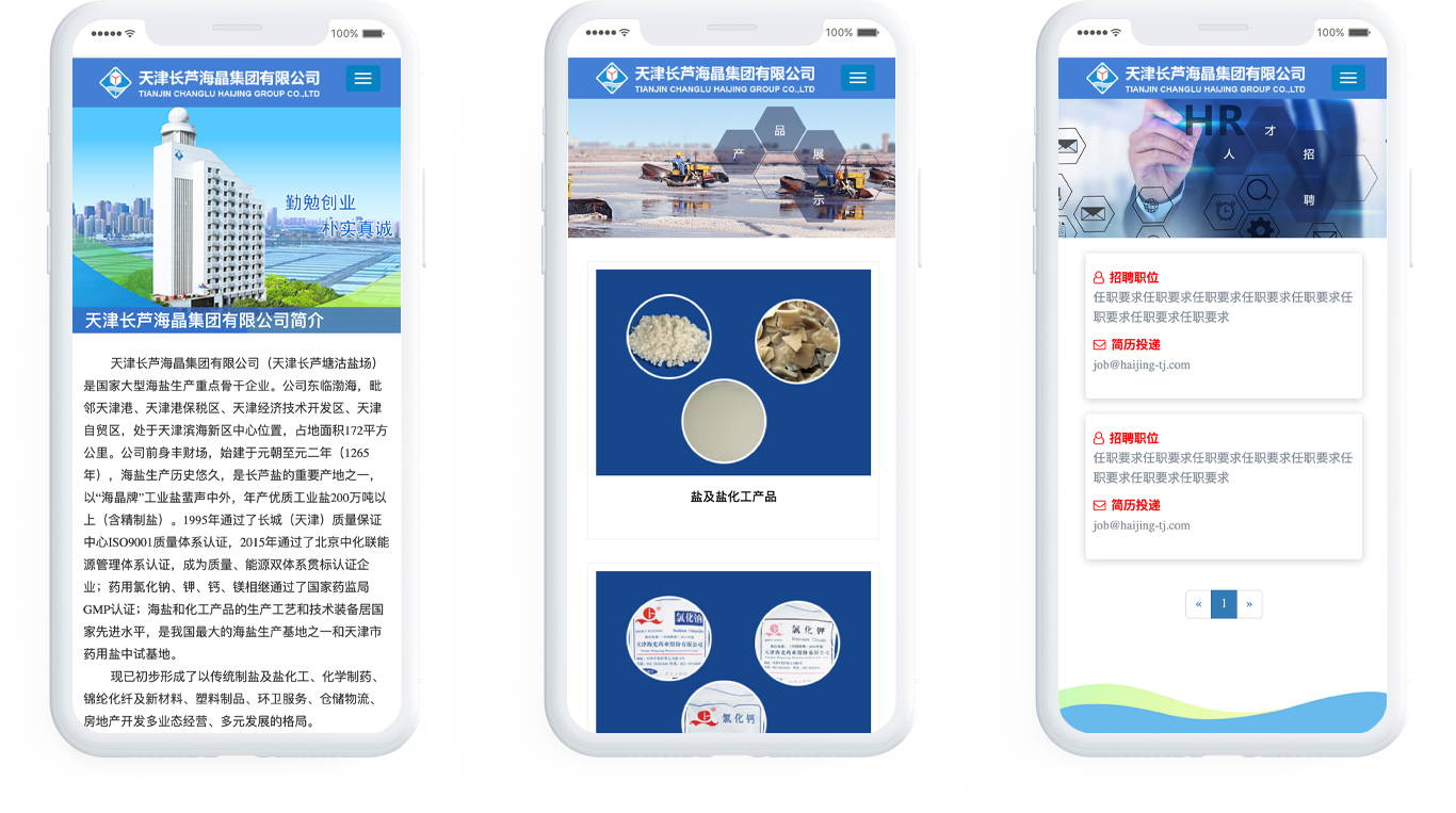 天津企業(yè)網(wǎng)站制作