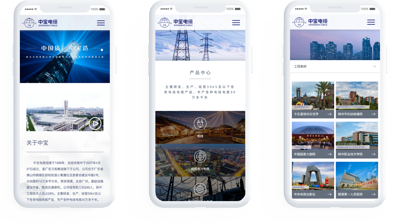 電纜企業(yè)網(wǎng)站制作