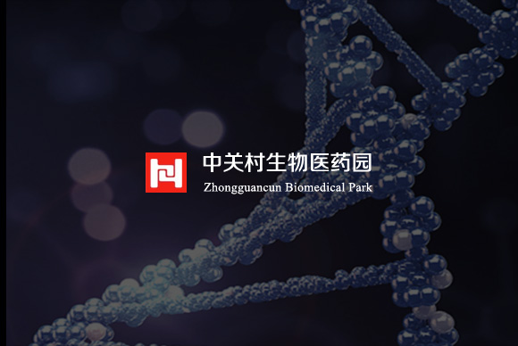 生物醫(yī)藥產(chǎn)業(yè)園網(wǎng)站設(shè)計,生物科技產(chǎn)業(yè)園網(wǎng)站制作,產(chǎn)業(yè)園網(wǎng)站建設(shè)